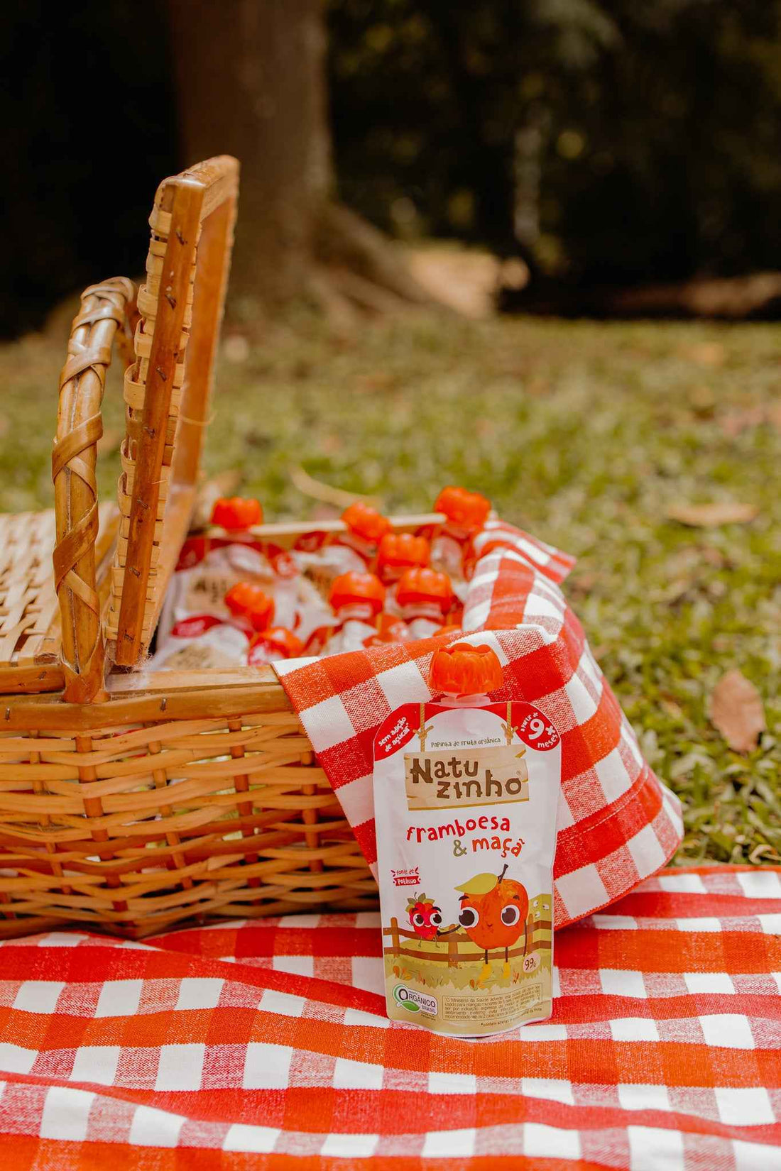 Natuzinho Lança Linha de Papinhas Infantis 100% Orgânicas no Brasil