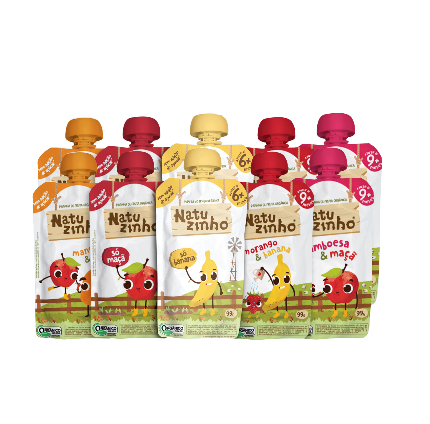 Papinha Organica Natural de Fruta Natuzinho - Kit Meu Primeiro Natuzinho - kit com 10 unidades