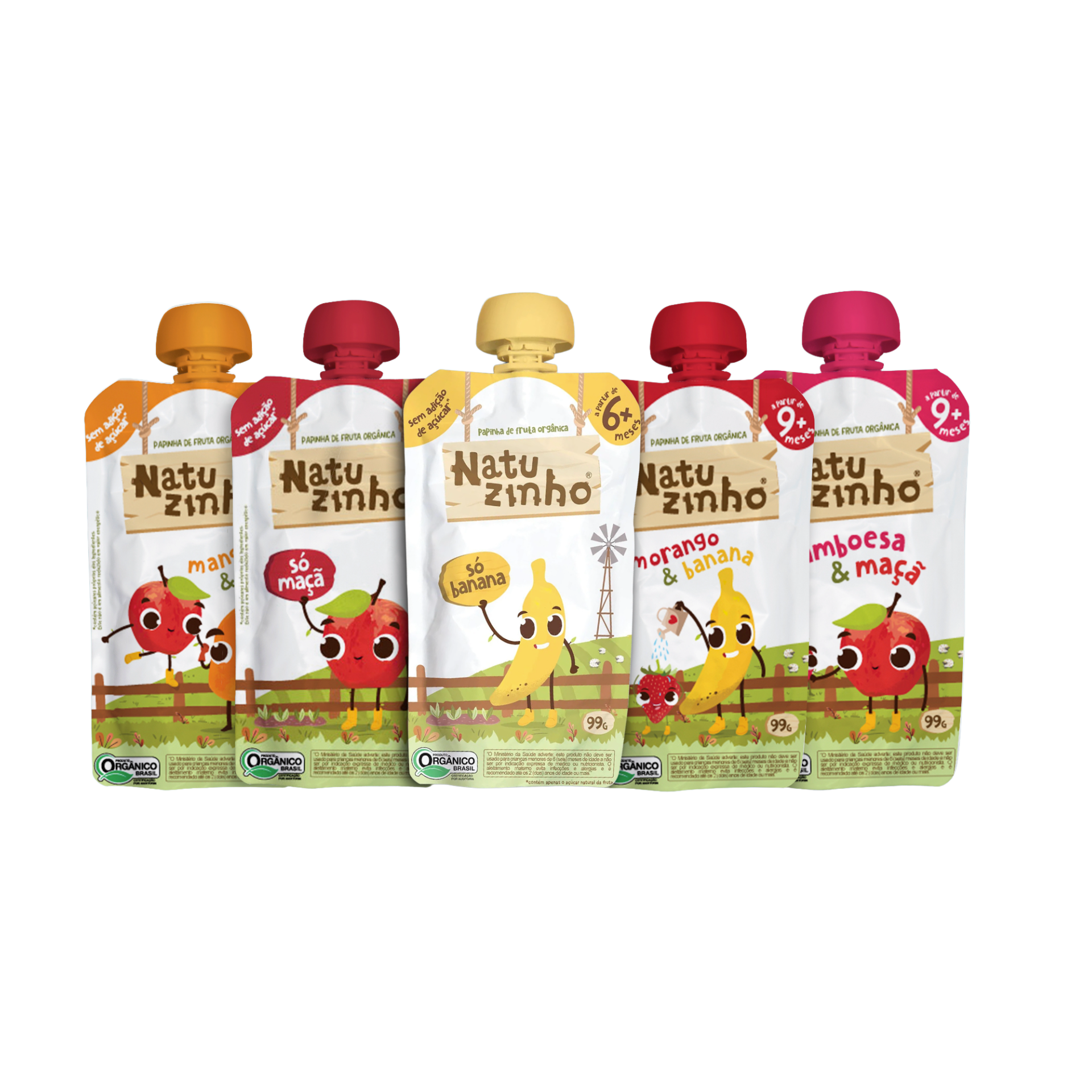 Papinha Organica Natural de Fruta Natuzinho - Kit Meu Primeiro Natuzinho - todos os sabores contidos no kit