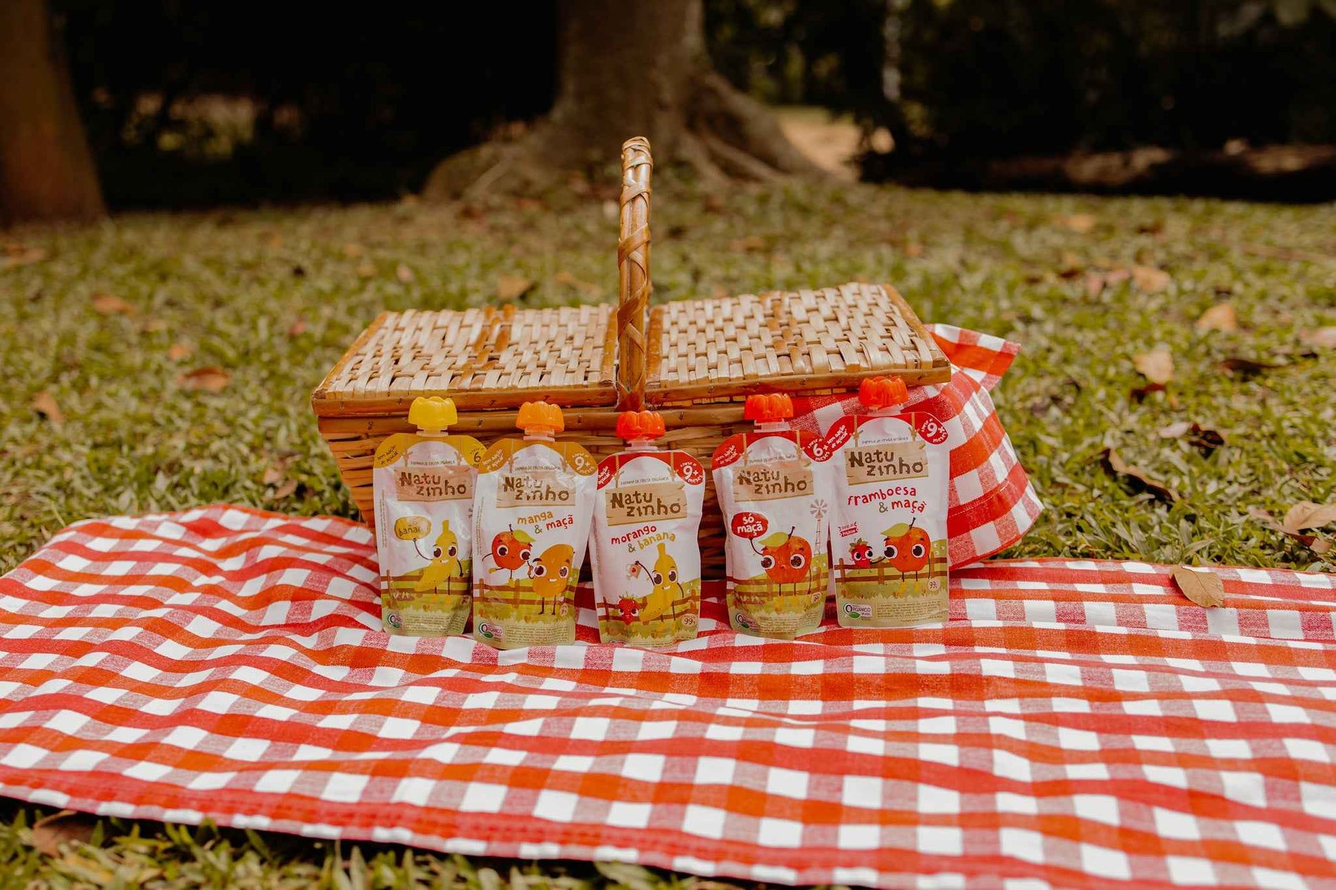 Papinha Organica Natural de Fruta Natuzinho - Kit Meu Primeiro Natuzinho - dentro de cesta de piquenique no parque